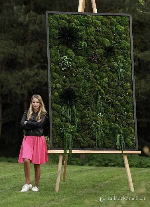 Stabilizuotų samanų pavekslas — paveikslai, 1,50 x2,40