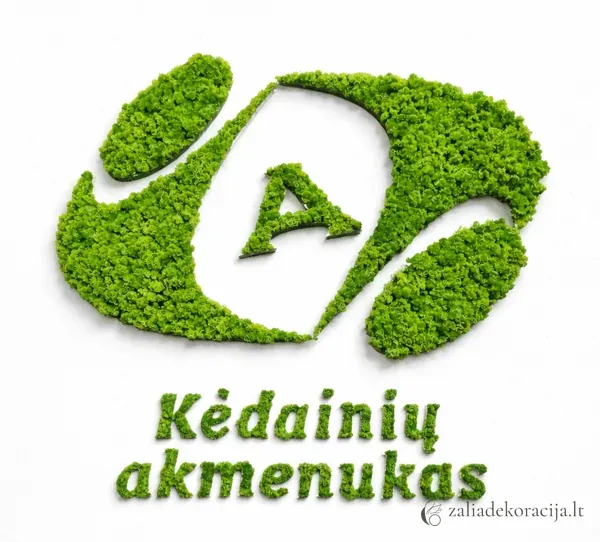 Įmonės logotipas — aksesuarai ir detalės